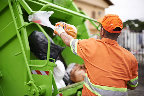 Best Dumpster Rental Services  in Citrus Park, FL